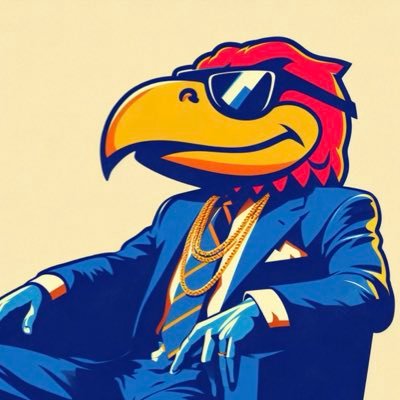 jayhawk lasso's profile picture