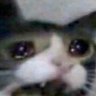Profilbild von 智障