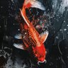 K线律动 profil fotoğrafı