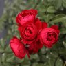 Фото профиля 郝连勃勃大王