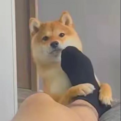 xxxsoxnrop's profile picture