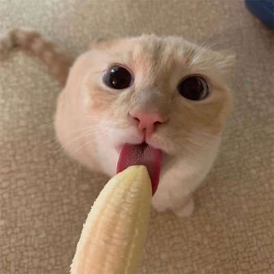 marisasnti's profile picture