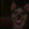 Profilbild von Ben Flip