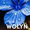 Aggak🇵🇱's profile picture