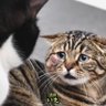 ドアラ2号 的头像