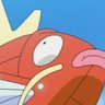 Profilbild von maggicarpe