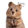 ツール作りたいものがわからん 的头像