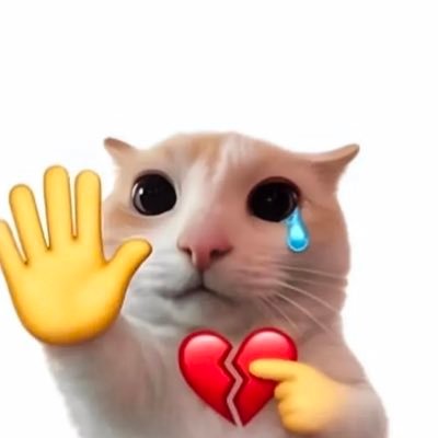 polybear98's profile picture