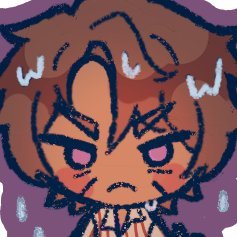 merocotton's profile picture