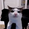 mrsunday's profile picture