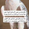 Profilbild von ﮼أبومهند الملكي النخبوي🏆🏆⭐️⭐️
