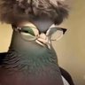 Profilbild von fgcbk