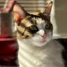 Profilbild von RyyMo