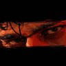 Profilbild von #PRABHAS .👑