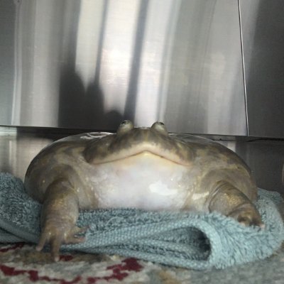 Soda_Stuff's profile picture