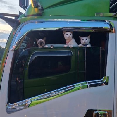 srr4410's profile picture