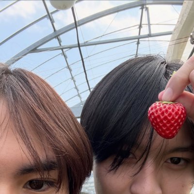 Kristine's profile picture