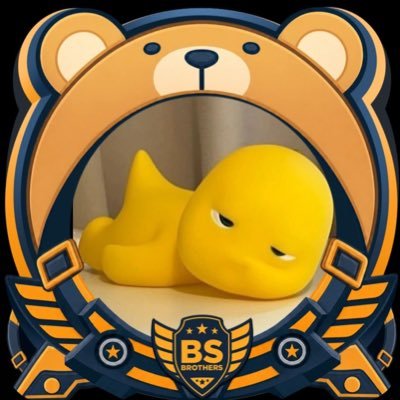 PP_RSR's profile picture