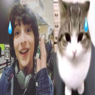 queermiffy's profile picture
