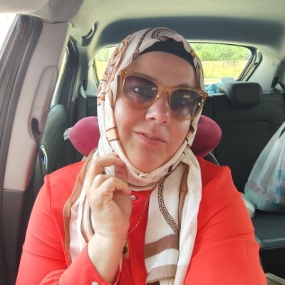 arslangillerden's profile picture