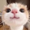 K profil fotoğrafı