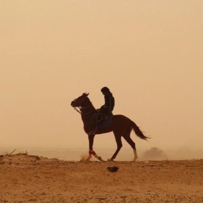 إيمان's profile picture