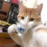 Profilbild von whimsicalbingus