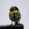 Stephen Simpson.'s profile picture