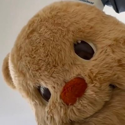 _msrxz's profile picture