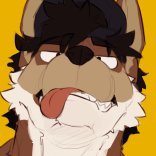 KoirJagouu's profile picture
