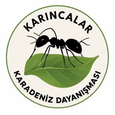 Karıncalar Karadeniz Dayanışması's profile picture