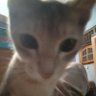 miyy's profile picture