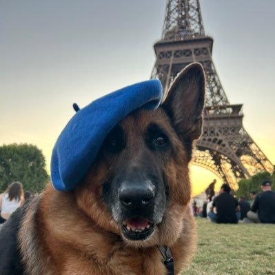 TOPI's profile picture