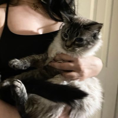 sussiirem's profile picture