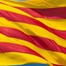 Profilbild von Defensem_Catalunya