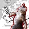 Фото профиля Jeopolitika Mağduru bir Erkek
