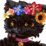 Profilbild von lotus 🌸