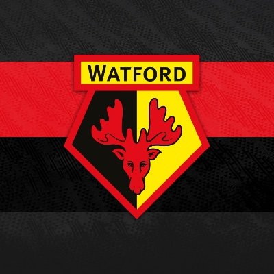 Watford FC Academy's profile picture