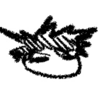 Enekazin's profile picture