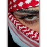 فحل كتووم's profile picture