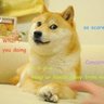 Profilbild von 该用户已注销
