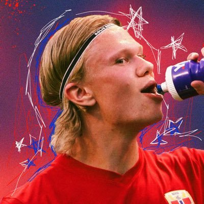 acervo haaland 🤖's profile picture