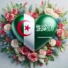 الـصـمـت حـكـمـة profil fotoğrafı