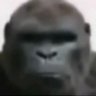 ibo's profile picture