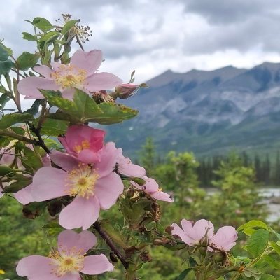 SydFizzard's profile picture