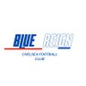 Фото профиля BlueReign