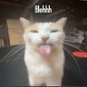 antoñin's profile picture