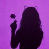 Moon Cat 💫's profile picture