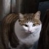 Profilbild von やま