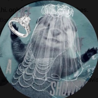 Navi's profile picture
